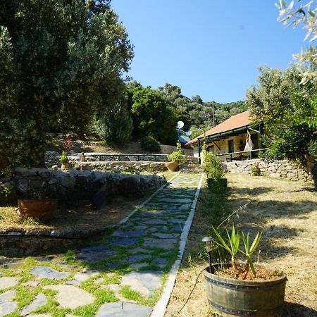 Elpida Country House -Paleochora-Anidri Exterior foto